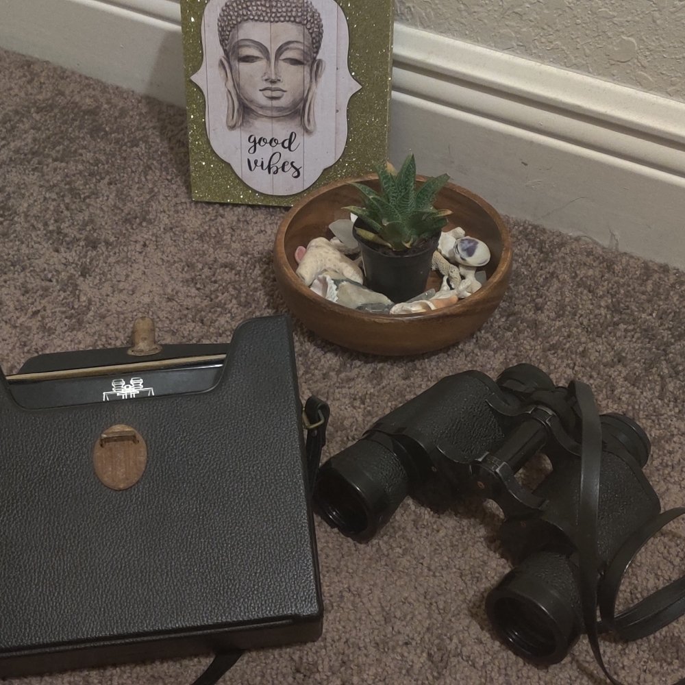 Vintage Gemini Binoculars